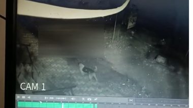 Kolhapur CCTV Video: कोल्हापूर येथे रुग्णालयाच्या पहिल्या मजल्यावरुन उडी मारत रुग्णाची आत्महत्या (व्हिडिओ)