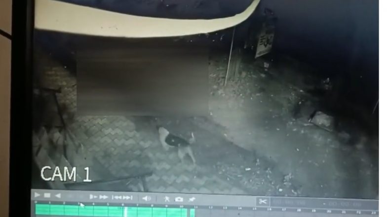 Kolhapur CCTV Video: कोल्हापूर येथे रुग्णालयाच्या पहिल्या मजल्यावरुन उडी मारत रुग्णाची आत्महत्या (व्हिडिओ)