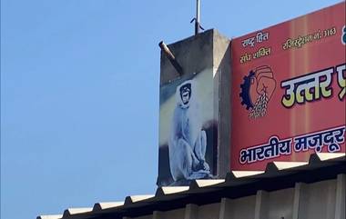 Langur Posters in Moradabad: माकडांना हाकलण्यासाठी बस स्थानकांवर लंगूरचे फोटो आणि फायर साऊंड सेन्सर मशीन, मुरादाबाद येथील घटना