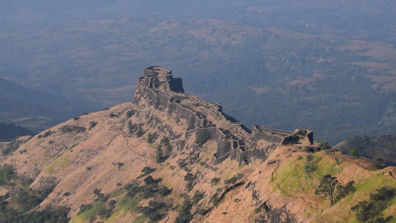 राजगडावर पर्यटकांवर मधमाशांचा हल्ला, चार जण गंभीर जखमी