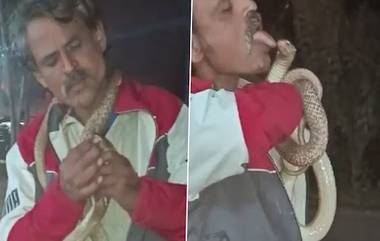 Stunt with Snake Viral Video: विषारी सापाला Kiss करण्याचा स्टंट बेतला जीवावर; उत्तर प्रदेशातील धक्कादायक घटना (Watch Video)