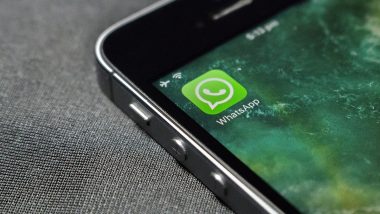 WhatsApp Audio Chats: Android वरील व्हॉट्सअ‍ॅप युजर्सना मिळणार आता Real-Time Audio Visualisation चं फीचर