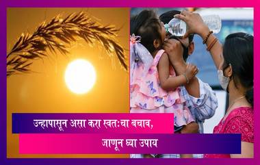 Heat Wave Advisory In India: हीट व्हेवचा सामना कसा करायचा जाणून घ्या