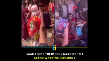 Dog's Luxurious Wedding: कुत्र्याचं आलिशान लग्न, व्हायरल व्हिडिओ पाहून नेटकऱ्यांनी केली 'अशी' कमेंट्स