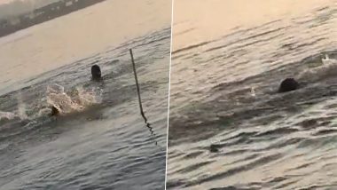Mumbai News: वर्सोवा किनारपट्टीच्या समुद्रात बोट उलटल्याने 2 मच्छिमार बुडाल्याची भीती; शोध मोहिम सुरू