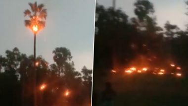 Mumbai Rains: पालघर मध्ये माडाच्या झाडावर वीज कोसळली अन पेटलं झाडं; घटनेचा व्हीडिओ वायरल  (Watch Video)