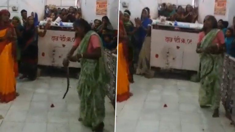 Viral Video: आरतीच्या वेळी महिलेच्या हातात दिसला साप, पुढे सापाने जे केले ते पाहून बसेल धक्का, पाहा व्हिडीओ