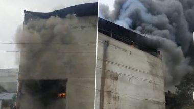 Delhi Fire: दिल्लीच्या वजीरपूर भागातील कारखान्याला भीषण आग (Watch Video)