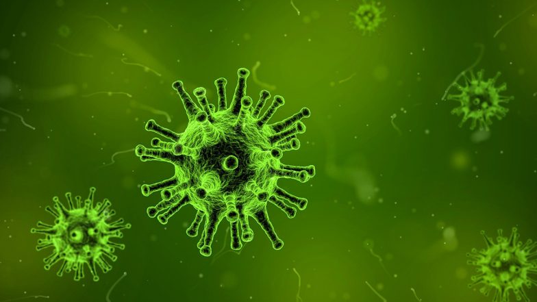 CoronaVirus:  अमेरिकन जर्नलमध्ये धक्कादायक खुलासा,'कोविड संसर्गानंतर महिनाभर कानात राहतो व्हायरस '