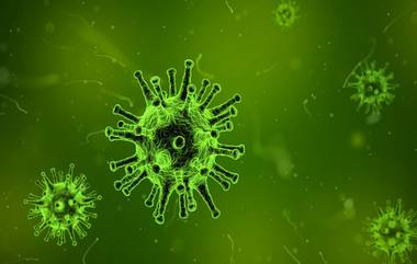 HMPV Virus In Ahmedabad: कर्नाटकनंतर आता अहमदाबादमध्ये आढळला एचएमपीव्ही विषाणूचा तिसरा रुग्ण