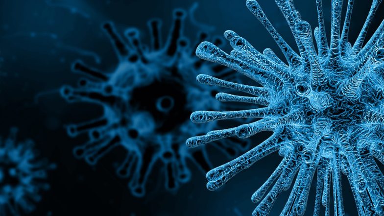 H3N2 Virus: H3N2 मुळे वाढलं सरकारचं टेन्शन! पुद्दुचेरीमध्ये आढळले इन्फ्लुएंझाचे 79 रुग्ण; 'या' लोकांना सर्वाधिक धोका