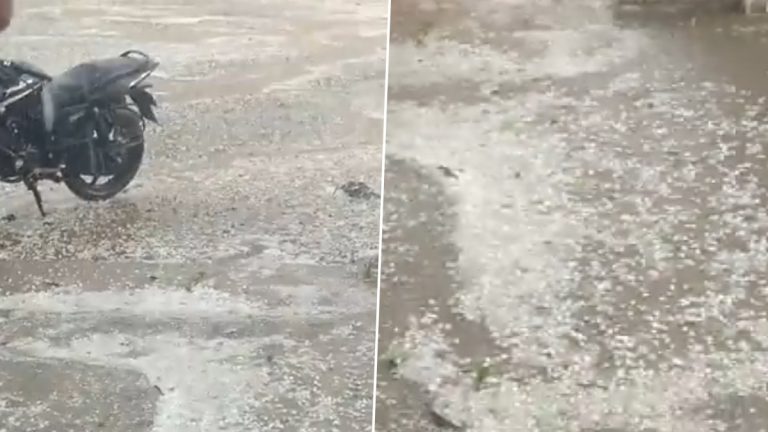 Unseasonal Rain In Buldhana: बुलढाणा जिल्ह्यात आज वादळी वाऱ्यासह गारपिटीचा पाऊस, Watch Video