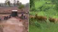 Madhya Pradesh: कान्हा राष्ट्रीय उद्यानातून बांधवगड व्याघ्र प्रकल्पात 19 बारशिंगे सोडले