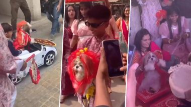 Navi Mumbai: कुत्र्याच्या ग्रँड लग्नाचा व्हिडिओ व्हायरल;  मोठा थाटात इलेक्ट्रिक कारमध्ये आला नवरदेव; तर 'वधू' आली पालखीत बसून, Watch Viral Video
