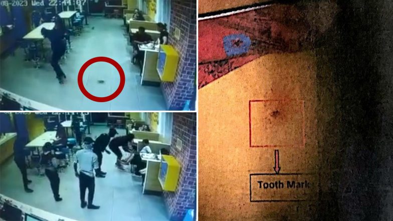 Viral Video: मॅकडोनाल्डमध्ये बर्गर खात असताना अचानक मुलाच्या अंगावर चढला उंदीर, पहा व्हायरल व्हिडिओ