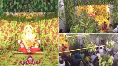 Sankashti Chaturthi 2023: संकष्टी चतुर्थीनिमित्त दगडूशेठ गणपती मंदिरात 2 हजार किलो द्राक्षांची आरास; Watch Video