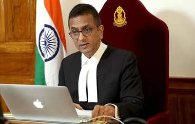 Supreme Court On AIBE Cut-Off: 'वकील व्हायचे असेल तर अभ्यास करा...'; सुनावणीदरम्यान CJI चंद्रचूड संतापले