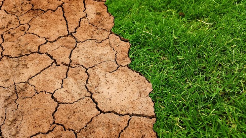 El Nino and Maharashtra Drought: महाराष्ट्रावर दुष्काळाचं संकट?  एल निनोचा फटका बसण्याची शक्यता; अमेरिकी हवामान संस्थेचा अंदाज