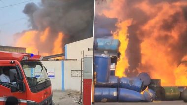 Gujarat Fire Video: वापी येथील GIDC च्या केमिकल कंपनीला भीषण आग, अग्निशमन दलाच्या 12 गाड्या घटनास्थळी दाखल