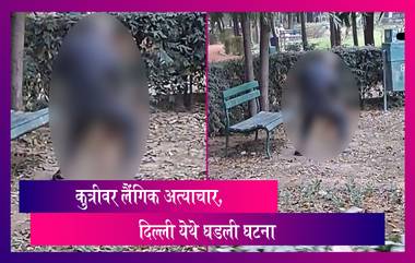 Man Rapes Dog: कुत्रीवर लैंगिक अत्याचार, दिल्ली येथे घडली घटना, पुढील तपास सुरु