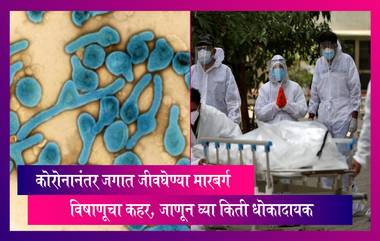 Marburg Virus: कोरोनानंतर जगात जीवघेण्या मारबर्ग विषाणूचा कहर, जाणून घ्या, संपूर्ण माहिती