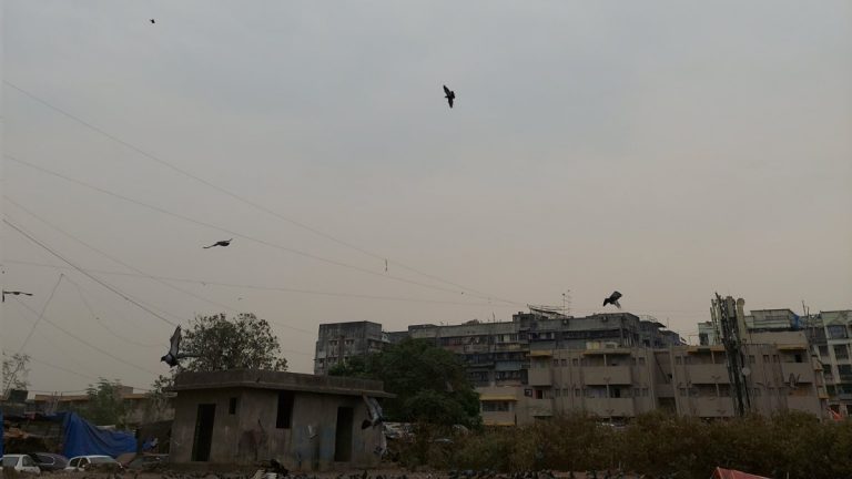 Mumbai Weather Update: मुंबईमध्ये आज उष्ण व दमट परिस्थिती; संध्याकाळी मेघगर्जनेसह वेगाने वारे वाहण्याची शक्यता, जाणून घ्या हवामान अंदाज