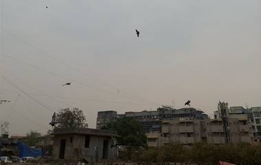 Maharashtra Weather Update: मुंबई, ठाण्यासह अनेक ठिकाणी अवकाळी, काही ठिकाणी गारपीट, विविध जिल्ह्यांमध्ये येलो अलर्ट; जाणून घ्या हवामानअंदाज