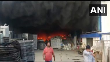 Valsad Fire, Gujarat : वलसाड येथील पॅकेजिंग कंपनीला भीषण आग, अग्निशमन दलाच्या गाड्या घटनास्थळी (Watch Video)
