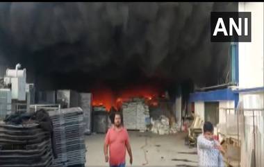 Valsad Fire, Gujarat : वलसाड येथील पॅकेजिंग कंपनीला भीषण आग, अग्निशमन दलाच्या गाड्या घटनास्थळी (Watch Video)