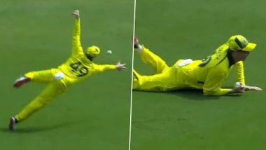 IND vs AUS: ऑस्ट्रेलियन कर्णधार स्टीव्ह स्मिथने हार्दिक पंड्याचा पकडला जबरदस्त झेल, पहा व्हिडिओ