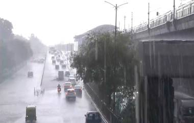 Delhi Rains: ऐन मार्च महिन्यात दिल्लीत पावसाच्या जोरदार सरी(Watch Video)