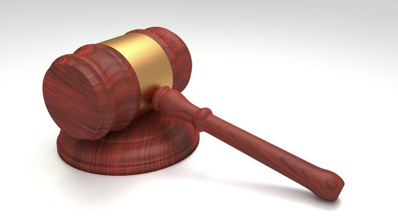 HC On Single Working Woman Child Adoption: अविवाहित कामकाजी महिला बाल न्याय हक्क कायद्यानुसार मूल दत्तक घेऊ शकते