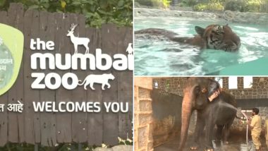 Mumbai Byculla Zoo: प्राणीसंग्रहालयात उन्हापासून बचावासाठी प्राण्यांसाठी विशेष सोय, आहारातही बदल (Watch Video)