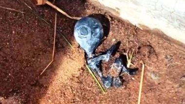 Alien Found Dead in Bolivia: 'या' गावात सापडले एलियचे मृत शरीर, गावात युएफओ आल्याचा गावकऱ्यांचा दावा (Watch Video))