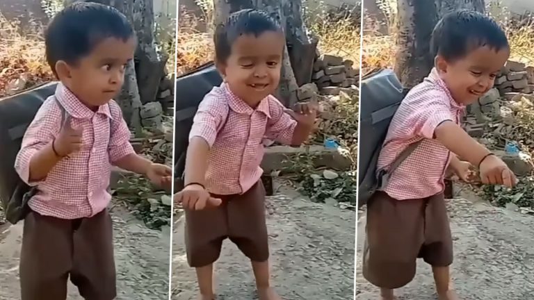 Viral Video: 'मला बाई दारुड्या भेटलाय नवरा'; गाण्यावर चिमुकल्याचा डान्स व्हायरल, डान्स स्टेप पाहून नेटीझन्स खूश, Watch