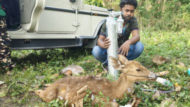 Man Providing Medical Care To Deer: हरणाला वैद्यकीय सेवा देतानाचा फोटो IFS अधिकाऱ्यांने केला शेअर, नेटकरी झाले इमोशनल (पहा फोटो)