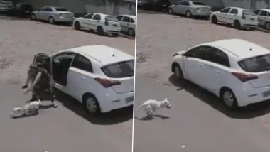 Heartbreaking Video: जखमी पाळीव श्वानाला गाडीतून रस्त्यावर सोडून पळून गेली महिला, घटनेचा व्हिडिओ व्हायरल