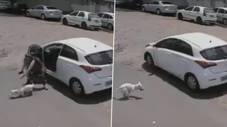 Heartbreaking Video: जखमी पाळीव श्वानाला गाडीतून रस्त्यावर सोडून पळून गेली महिला, घटनेचा व्हिडिओ व्हायरल