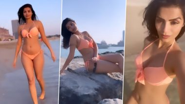 Sonali Raut Hot Bikini Video: चाहत्यांना वेड लावणारा सोनाली राऊतचा Sexy Video व्हायरल, पाहा