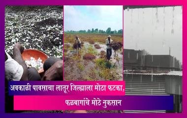 Unseasonal Rain: अवकाळी पावसामुळे फळबागांचे मोठे नुकसान, लातुर जिल्ह्याला मोठा फटका