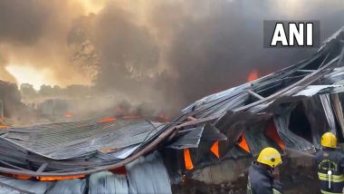 Fire breaks out in Coimbatore: कोईम्बतूर येथील फर्निचर कंपनीला भीषण आग (Watch Video)