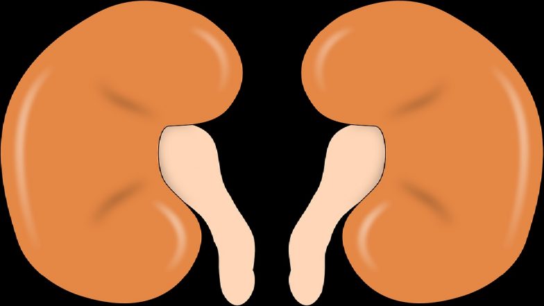 HC On Organ Donation: नातेवाईकाच्या संमतीशिवाय दाता अवयवदान करु शकतो- हायकोर्ट