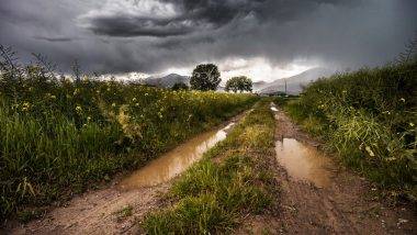 Weather Forecast: विदर्भात वादळी वाऱ्यासह अवकाळी पावसाचा तडाखा, जाणून घ्या हवामान अंदाज