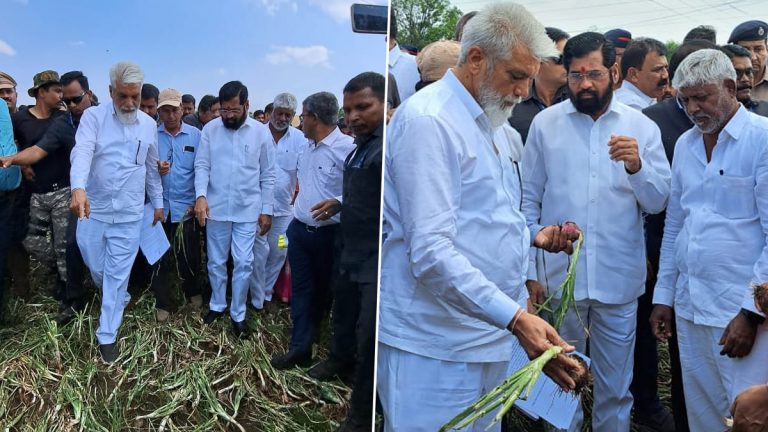 Unseasonal Rain In Maharashtra: अवकाळी पावसामुळे सर्वाधिक नुकसान नाशिक जिल्ह्यात; CM Eknath Shinde पाहणीसाठी आज  नाशकात शेतकर्‍यांच्या बांधावर!