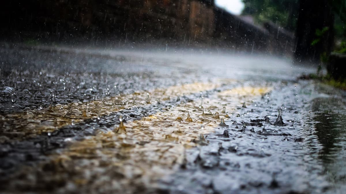 Mumbai Rains: मुंबईकरांना उन्हाच्या काहिलीपासून दिलासा; शहरात मान्सून पूर्व सरींचे आगमन (Video)