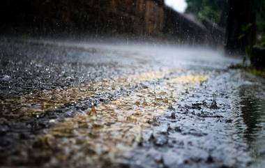 Heavy Rain In Tamil Nadu: तामिळनाडूत रात्रभर मुसळधार पाऊस, शाळा-कॉलेज आणि कार्यालये बंद; उड्डाणे-गाड्या रद्द