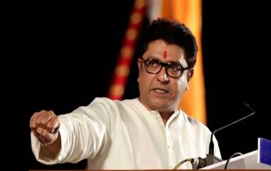 Raj Thackeray On Maratha Aarakshan: 'राज्य सरकार कडून तोंडाला पानं पुसण्याचा प्रकार'; राज ठाकरेंकडून मराठा समाजाला जागृत राहण्याचं आवाहन