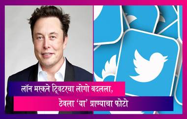 Twitter Logo Changed: ट्विटरचा लोगो बदलला, ठेवला 'या' प्राण्याचा फोटो, एलॉन मस्कने दिली माहिती