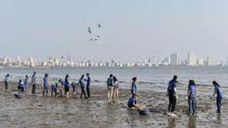 Dream House in Mumbai: मुंबईत समुद्रकिनारी घर घेण्याचं तुमचं स्वप्न होणार पूर्ण; केंद्र सरकारने CRZ च्या नियमात केला बदल