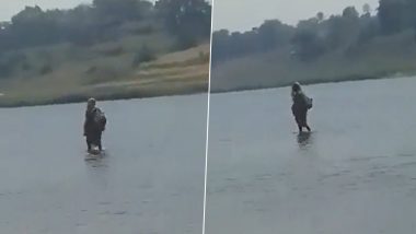 Viral Video: मध्य प्रदेशातील महिलेचा 'पाण्यावर चालत' असतानाचा व्हिडिओ व्हायरल; देवी समजून होऊ लागली पूजा, जाणून घ्या सत्य